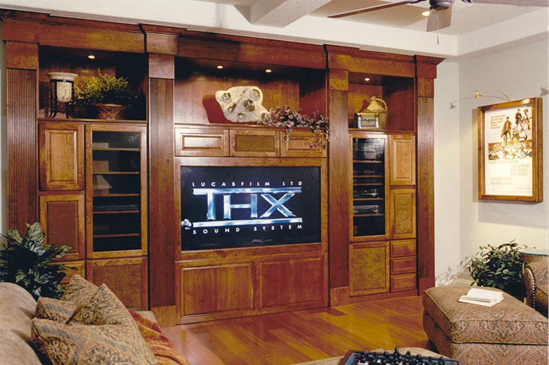 Home Audio Visual Systems