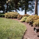 Outdoor Lighting Control