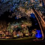 Outdoor Lighting Control System